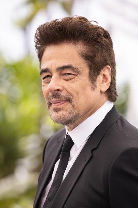 Benicio del Toro birth chart